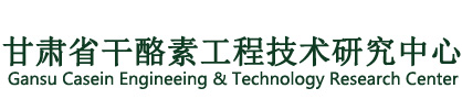 放在H1标签内
